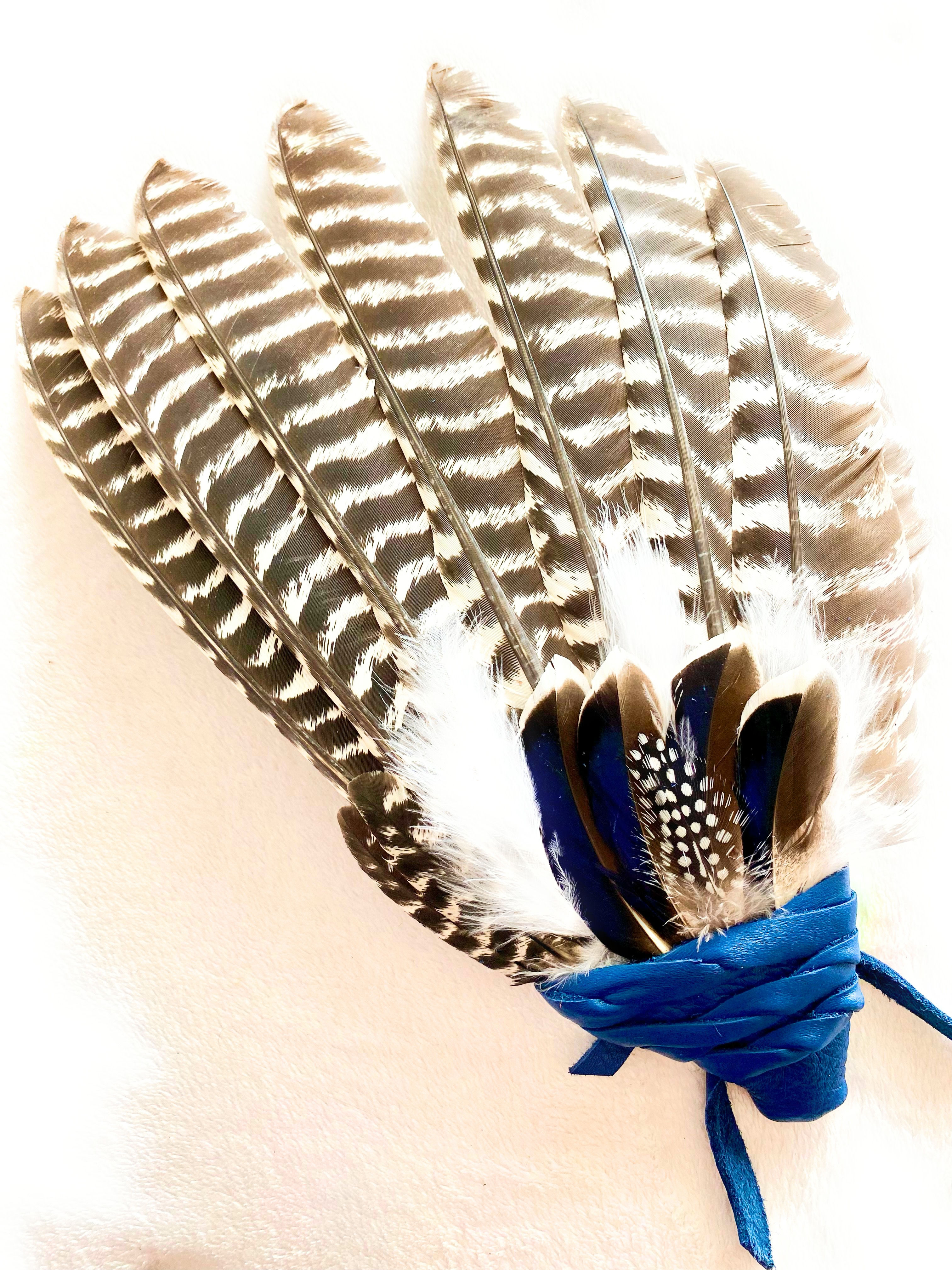 Large Partial Wing Smudge Fan