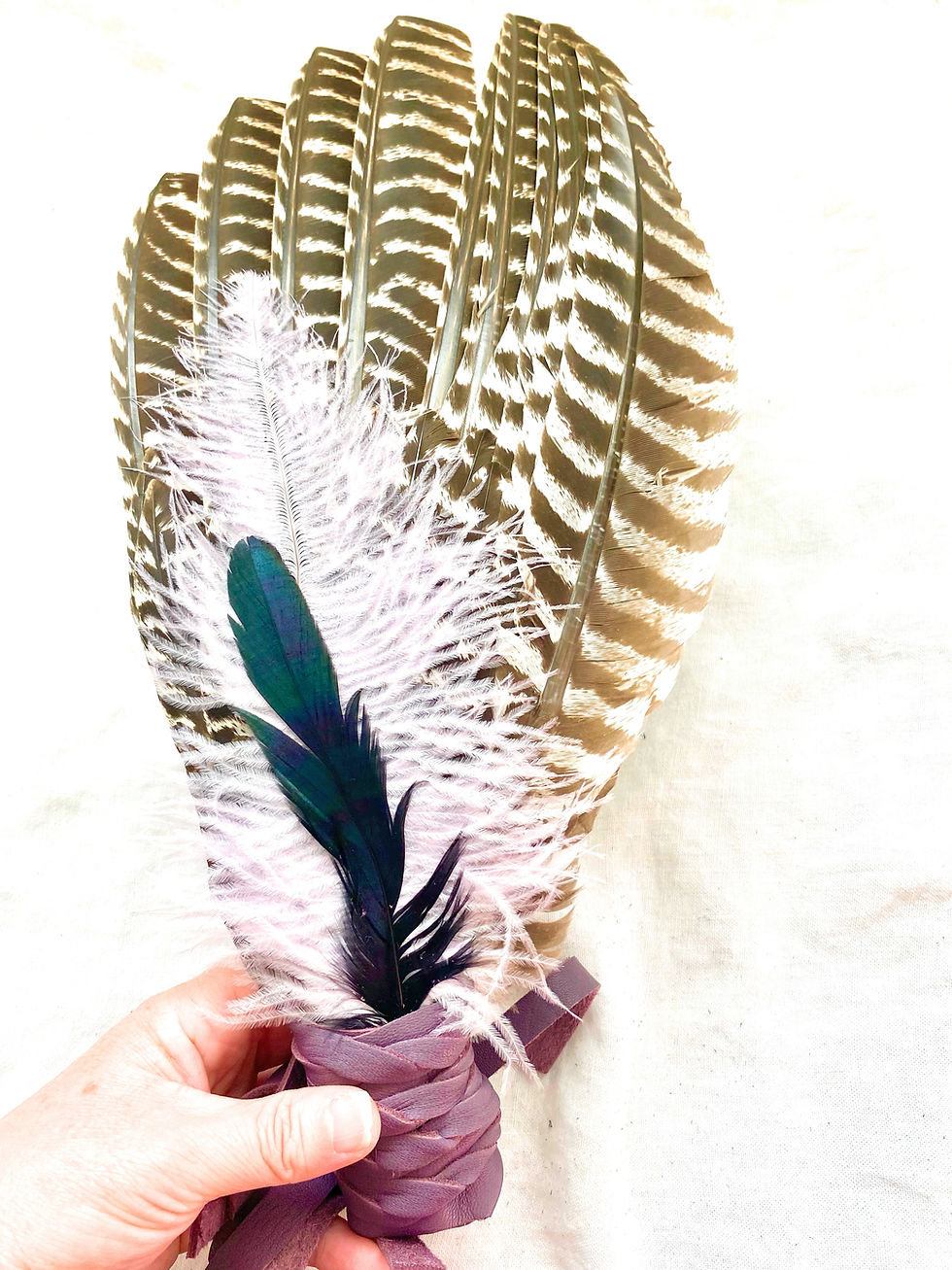 Thumbnail: Extra large Wild Turkey wing smudge fan