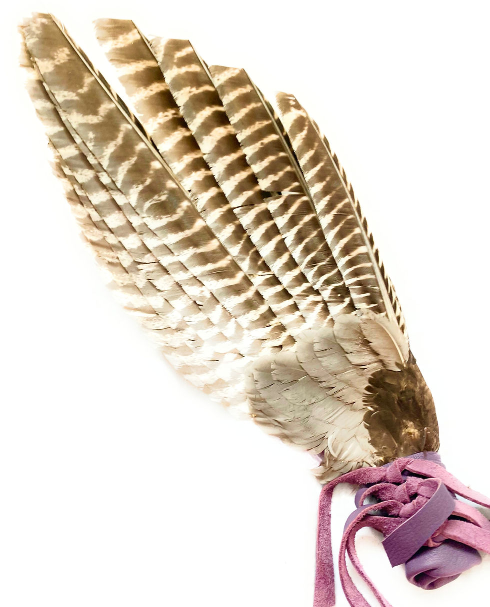 Thumbnail: Extra large Wild Turkey wing smudge fan