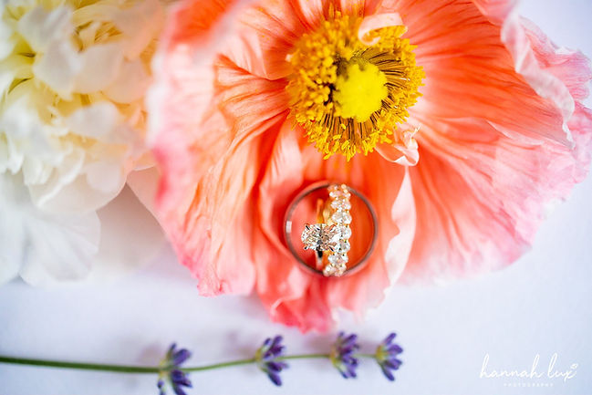 Hannah Lux Photography_4601.jpg