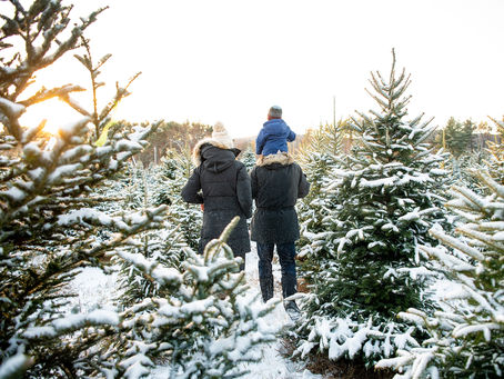Winter Family Mini Session in Saratoga Springs, NY