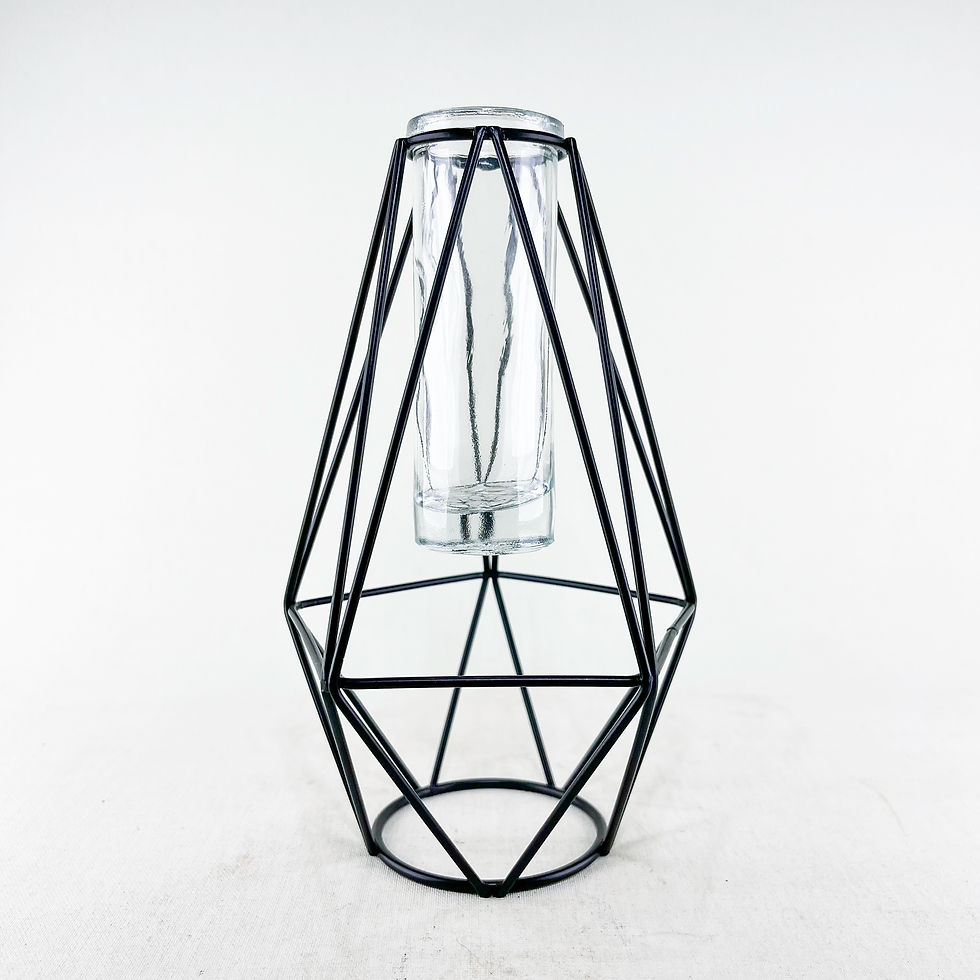 Diamond Stand - Metal Hava Bitkisi Saksısı Ferforje Tillandsia Holder