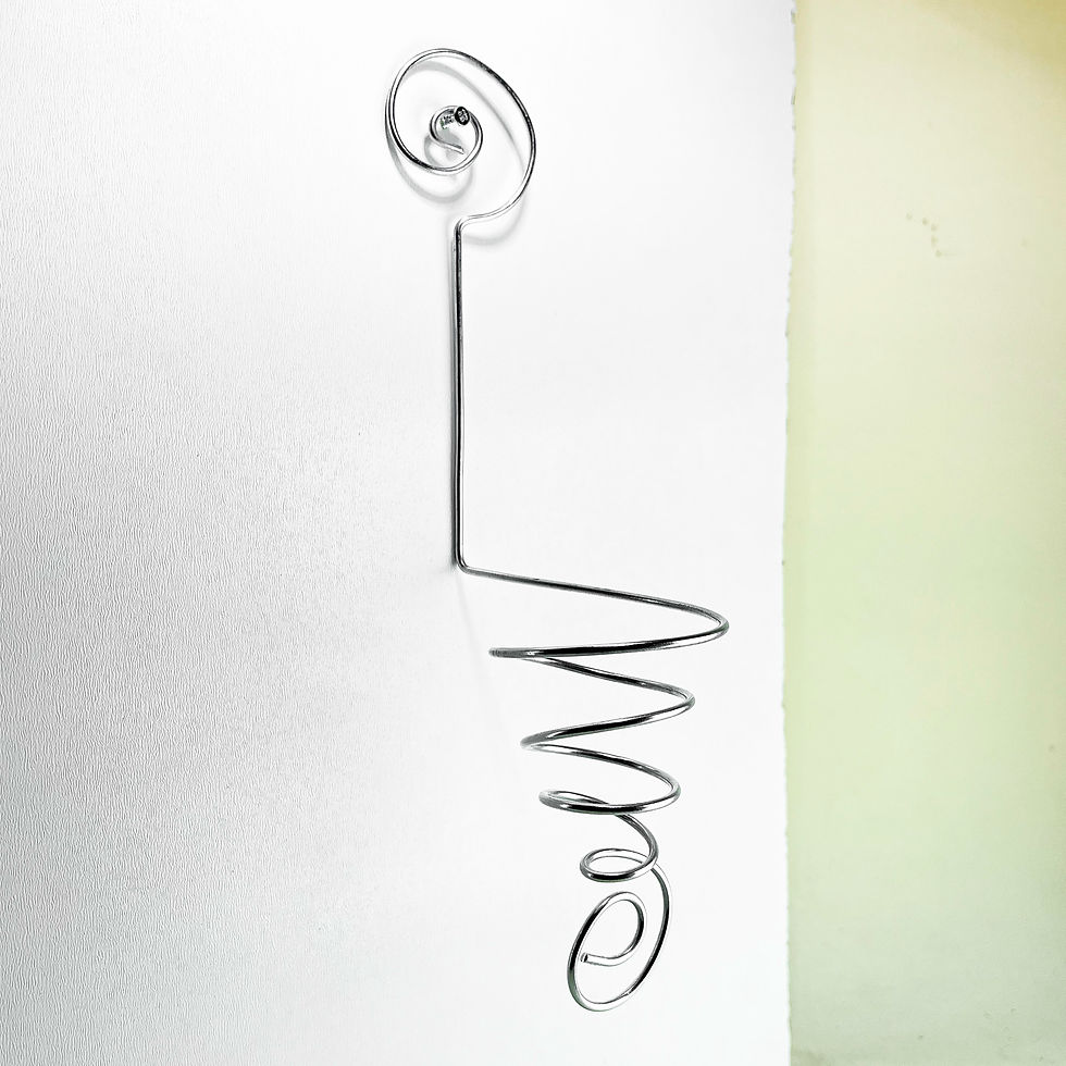 Küçük resim: Airplant Wall Hanger  (Duvar Askılığı) Hava Bitkisi Saksısı Tillandsia Askılık