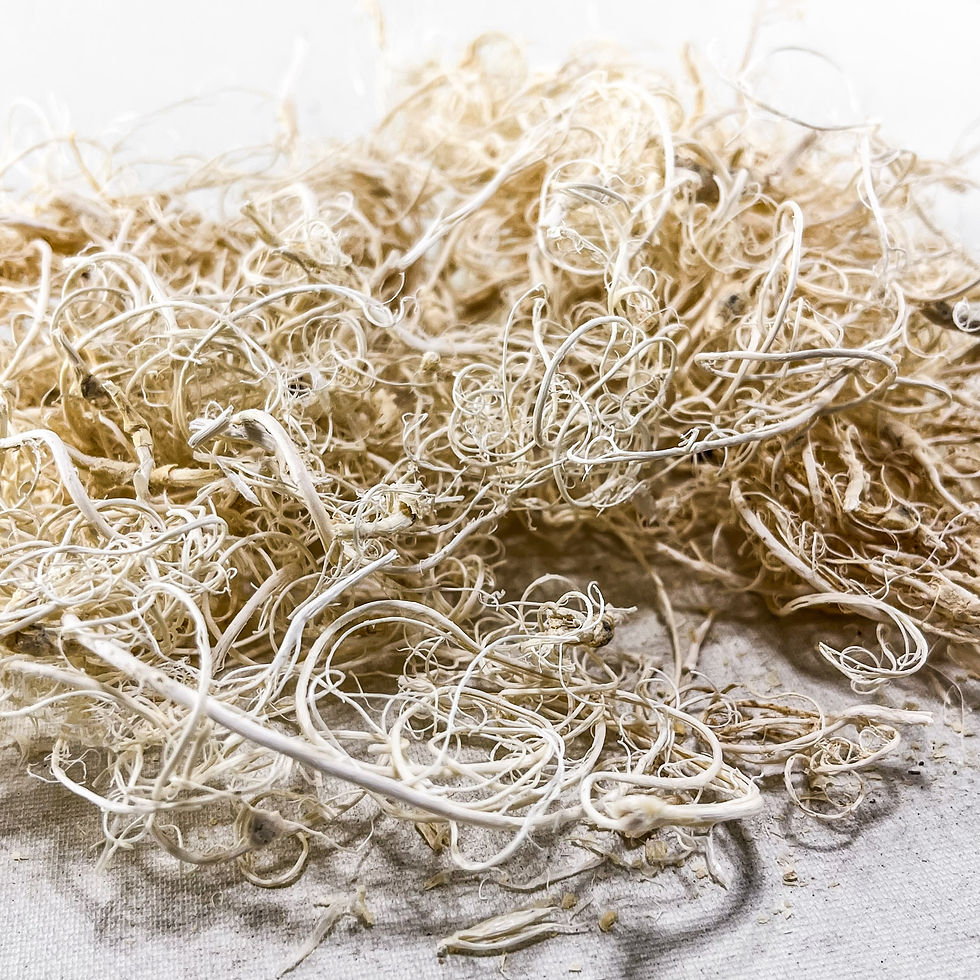 Küçük resim: Curly Moss 30 gr - Şoklanmış Dekoratif Kıvırcık Yosun