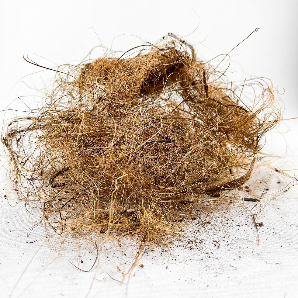 Küçük resim: Coco Fiber 20 gr - Hindistan Cevizi Kabuğu Lifi