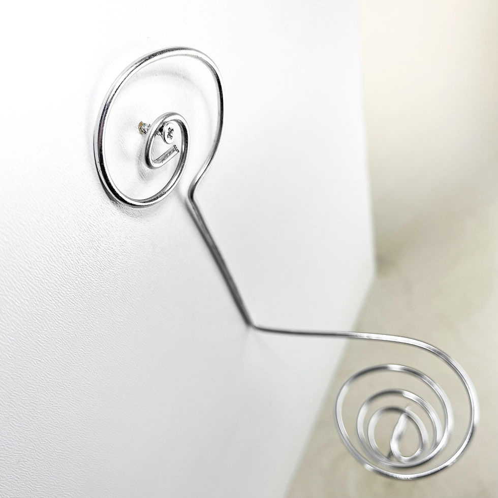 Küçük resim: Airplant Wall Hanger  (Duvar Askılığı) Hava Bitkisi Saksısı Tillandsia Askılık