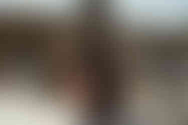 Rainha Charlotte, uma história Bridgerton – castelos