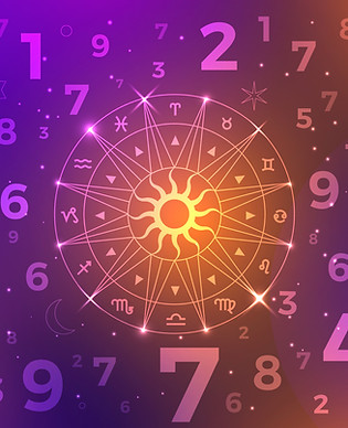 8382882.jpg