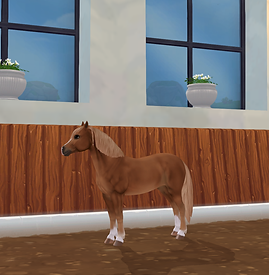 You Are My Sweet Cupcake