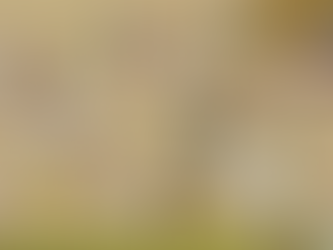 Flesh Of The Gods - Religious Drug Use Throughout History