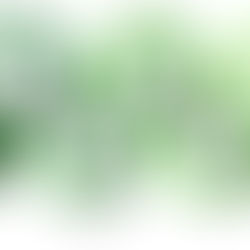 Teaming Up for a "Green Impact"