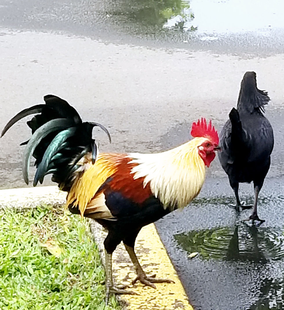 20191121_103703.jpg