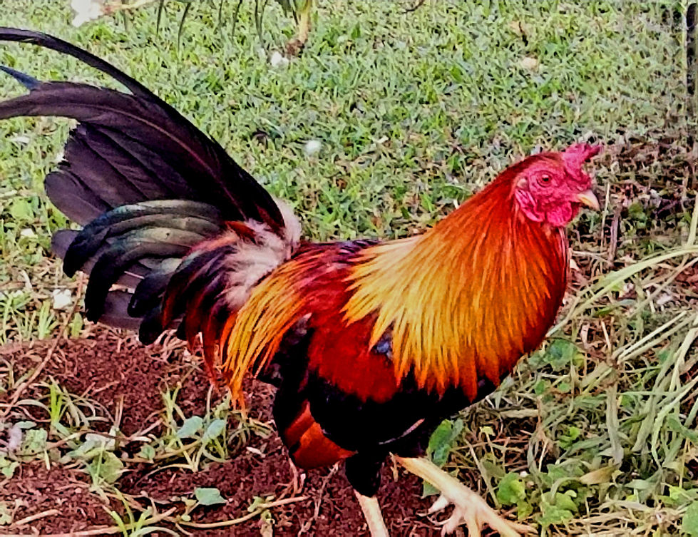 20191122_075646.jpg