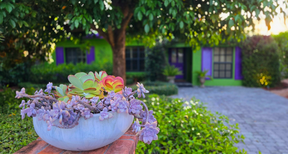 Succulent Cottage