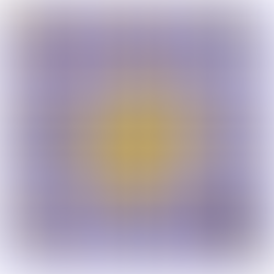 Capital Campaign Information