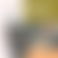 Melissa Travels to Palestine