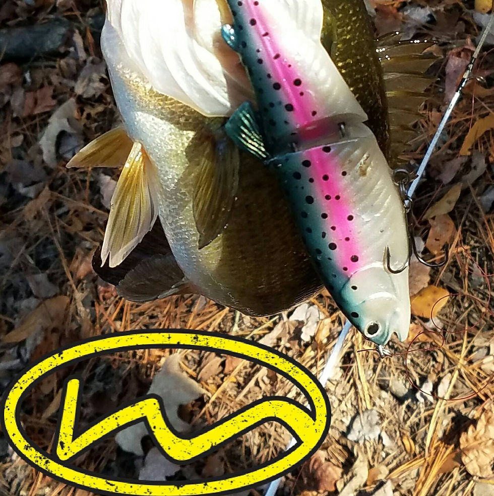 Thumbnail: Glide trout