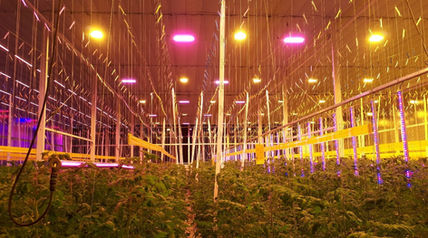 ie-LICHT - innovative and energysaving light strategies