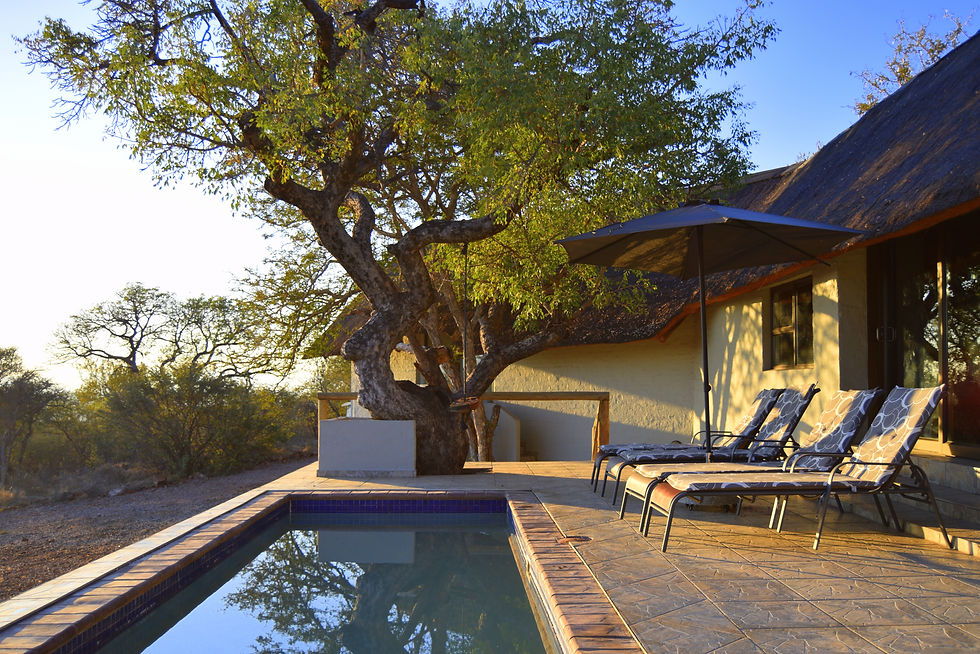 Pool area