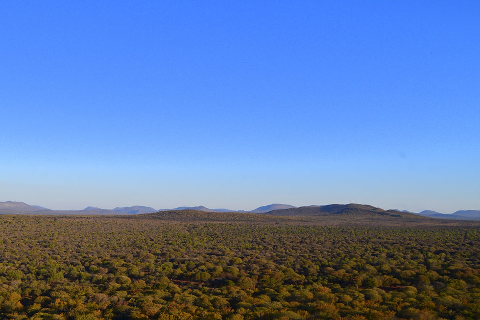 Plains View