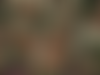 El jardín de la azotea, una biblioteca de un sólo libro