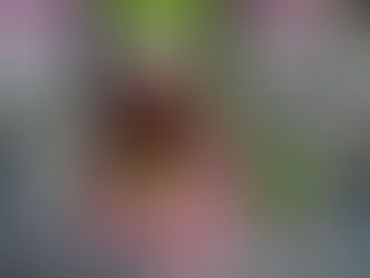 2021: sólo lo difícil es estimulante