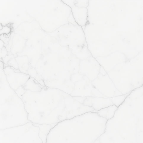 just soft white Carrara  marble up close with no dark lines more subtle no sharp lines.jpg