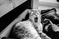 DSC_1069.jpg