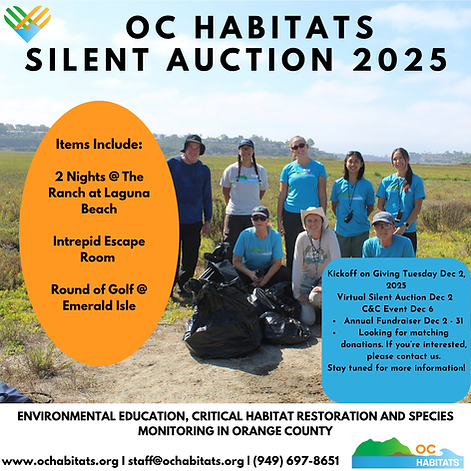 _Silent Auction Social Posts 2025.png