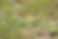 SCG_9410.JPG