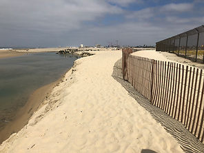 IMG_2500.JPG