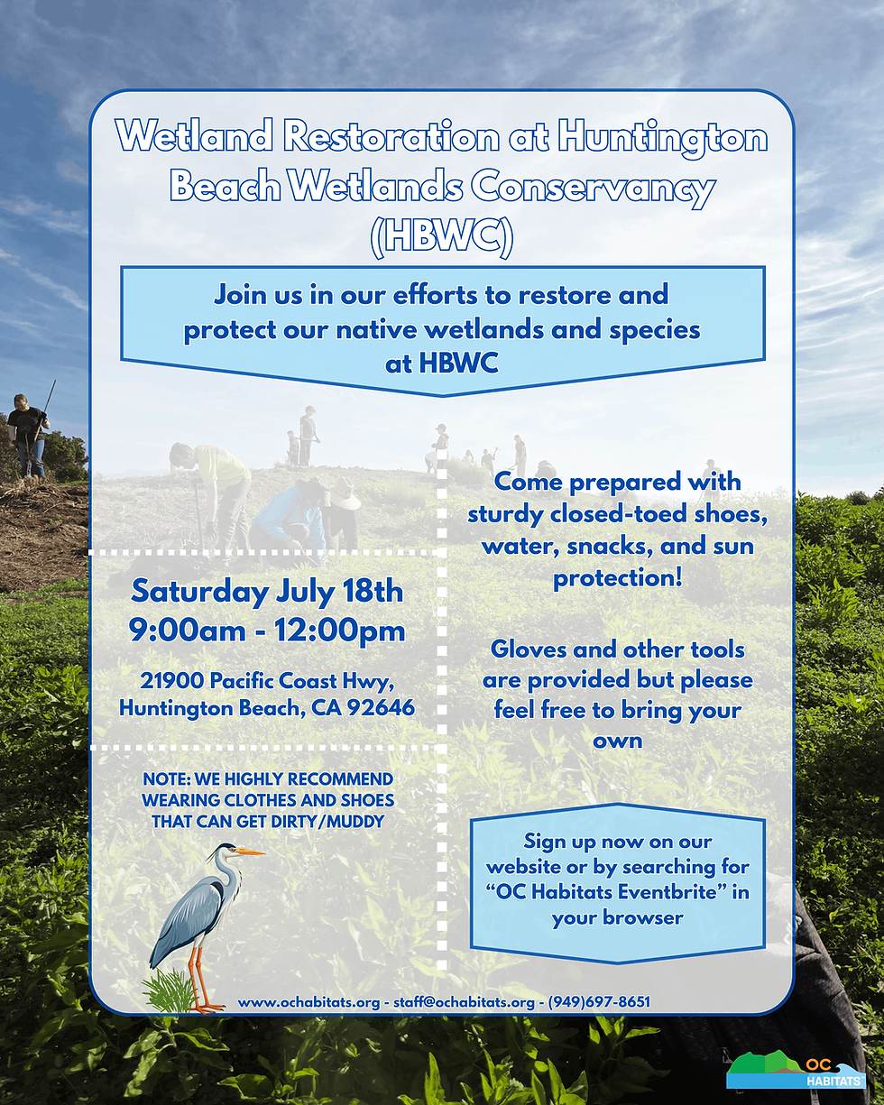 HBWC flyer (1)