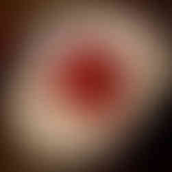 Strawberries and mascarpone on a sablé breton, dessert at Caractère restaurant