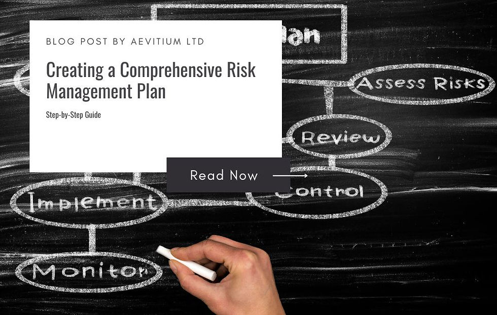 Visual representation of a risk management plan by Aevitium LTD