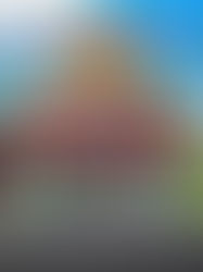 Why the American investment fund Apollo is buying France’s retail gem, Grand Frais