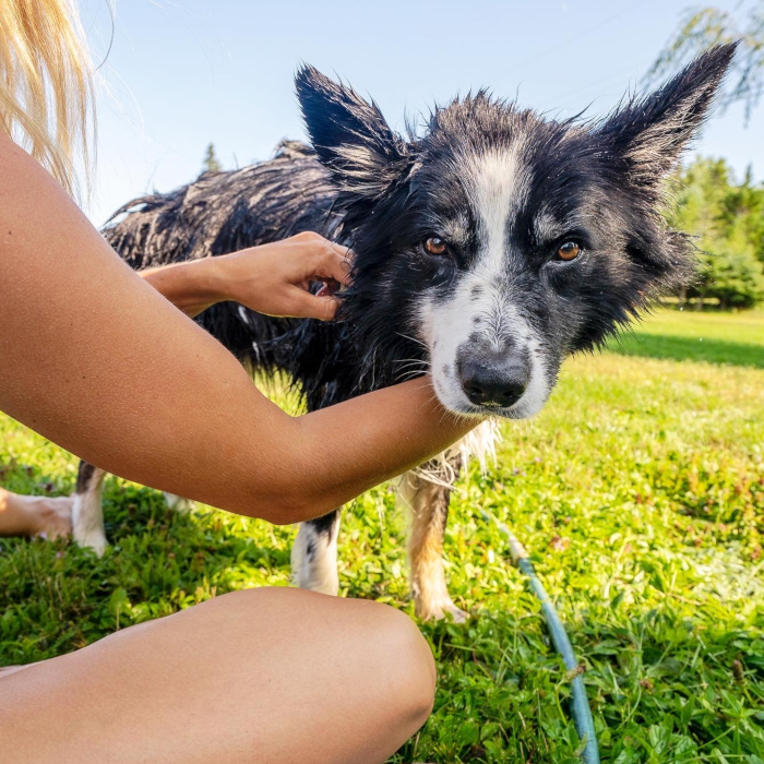 Hình thu nhỏ: Nova Scotia Fisherman Pet Soap Bar ノバ スコシア フィッシャーマン ペットソープバー
