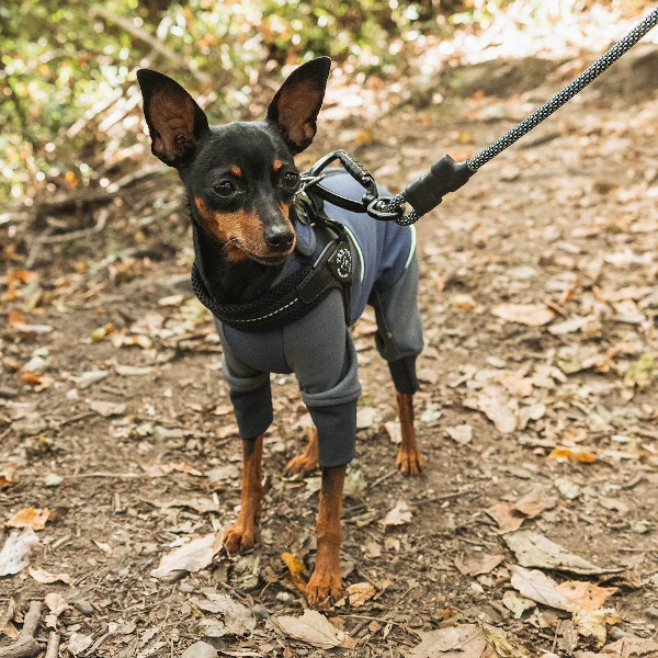 縮圖：Ekko Leash リットハウラー エコ リーシュ 7mm or 8mm