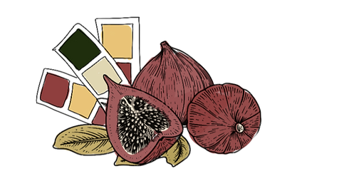 Untitled_Artwork 167_edited.png