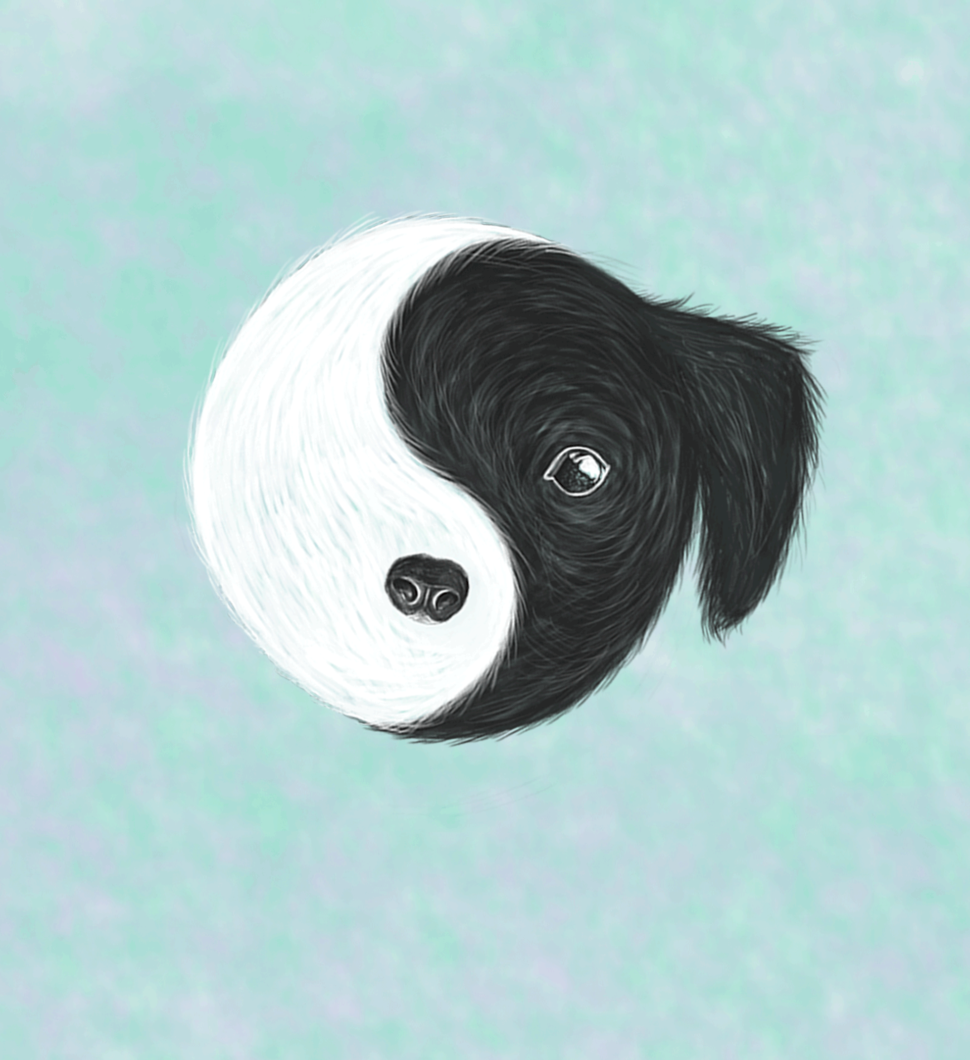 8d3749109506145.5fd559a3c4e00.gif