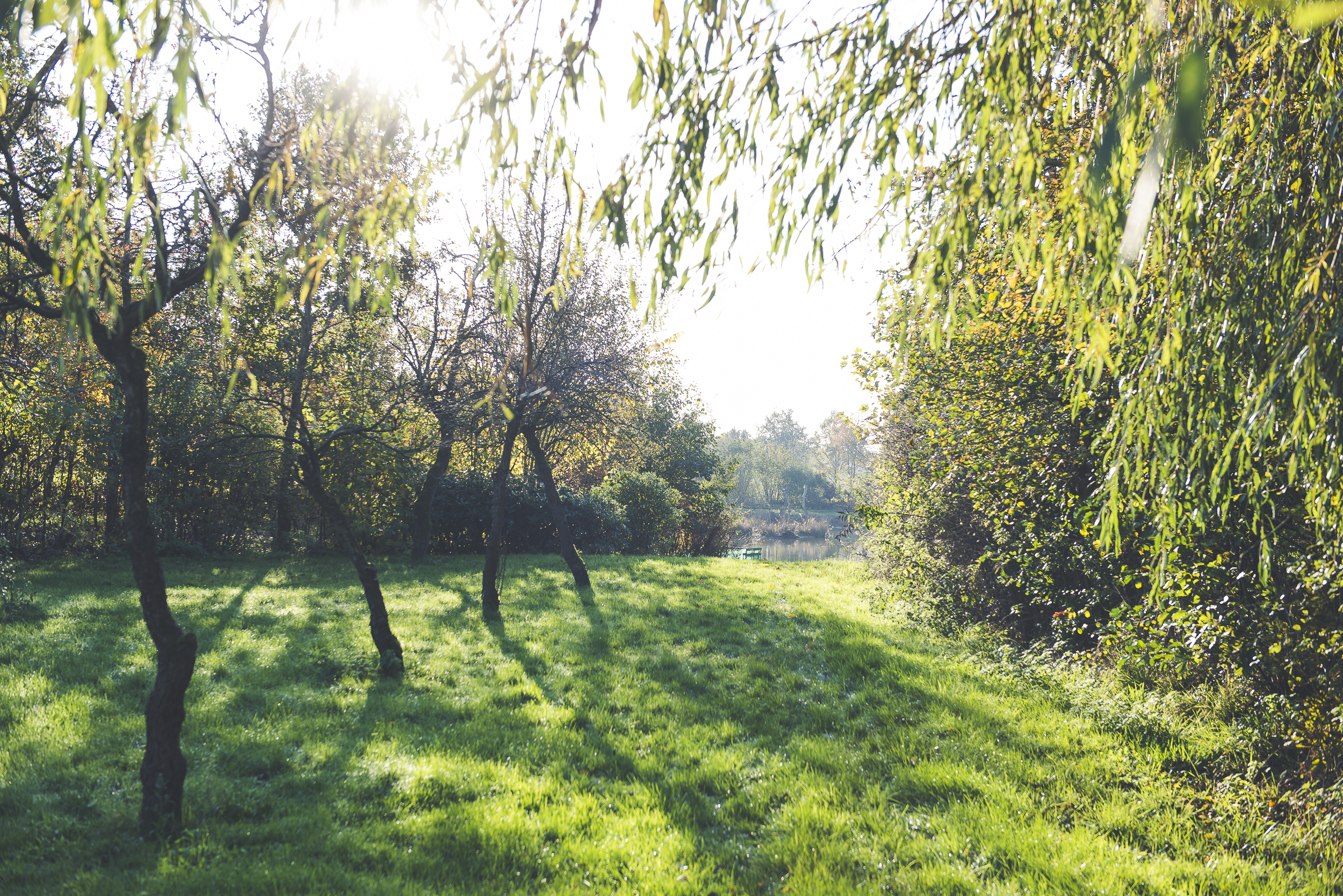 Natuurkampeerterrein De Ottermeerhoeve — Photo 4 of 12