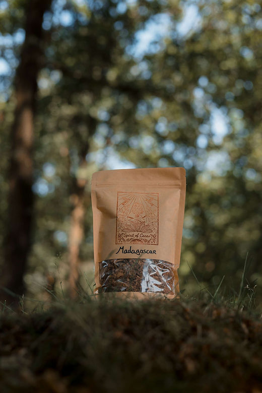 PRADA CINGHIALE TRAVE CACAO