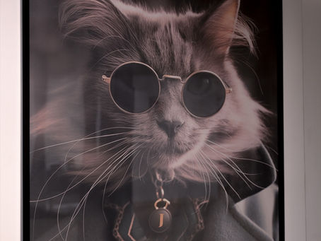 Will AI replace us creative folks?