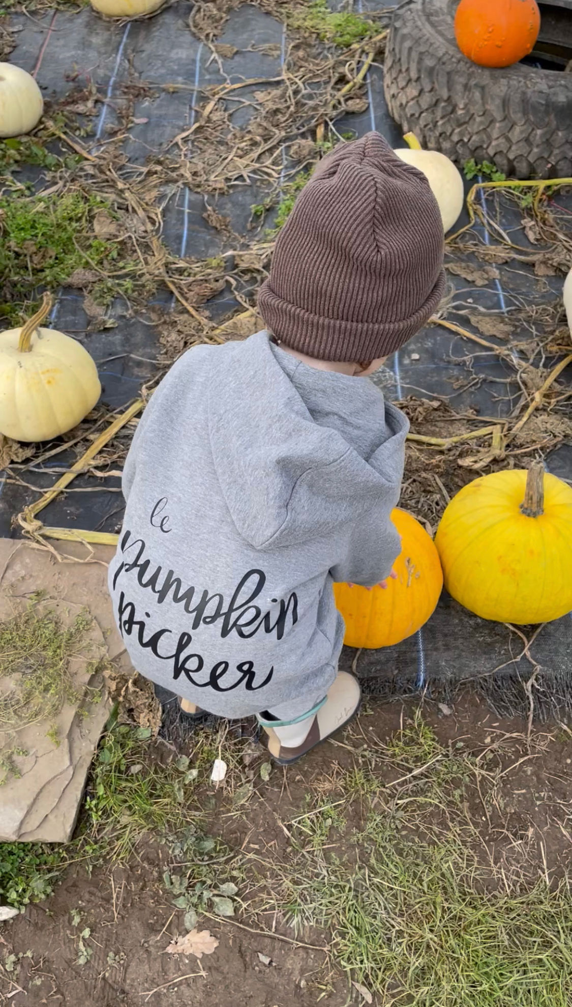 Le pumpkin picker