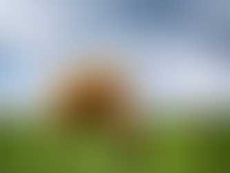 HOLY COW - Product Photography that is UDDERLY out of this world!