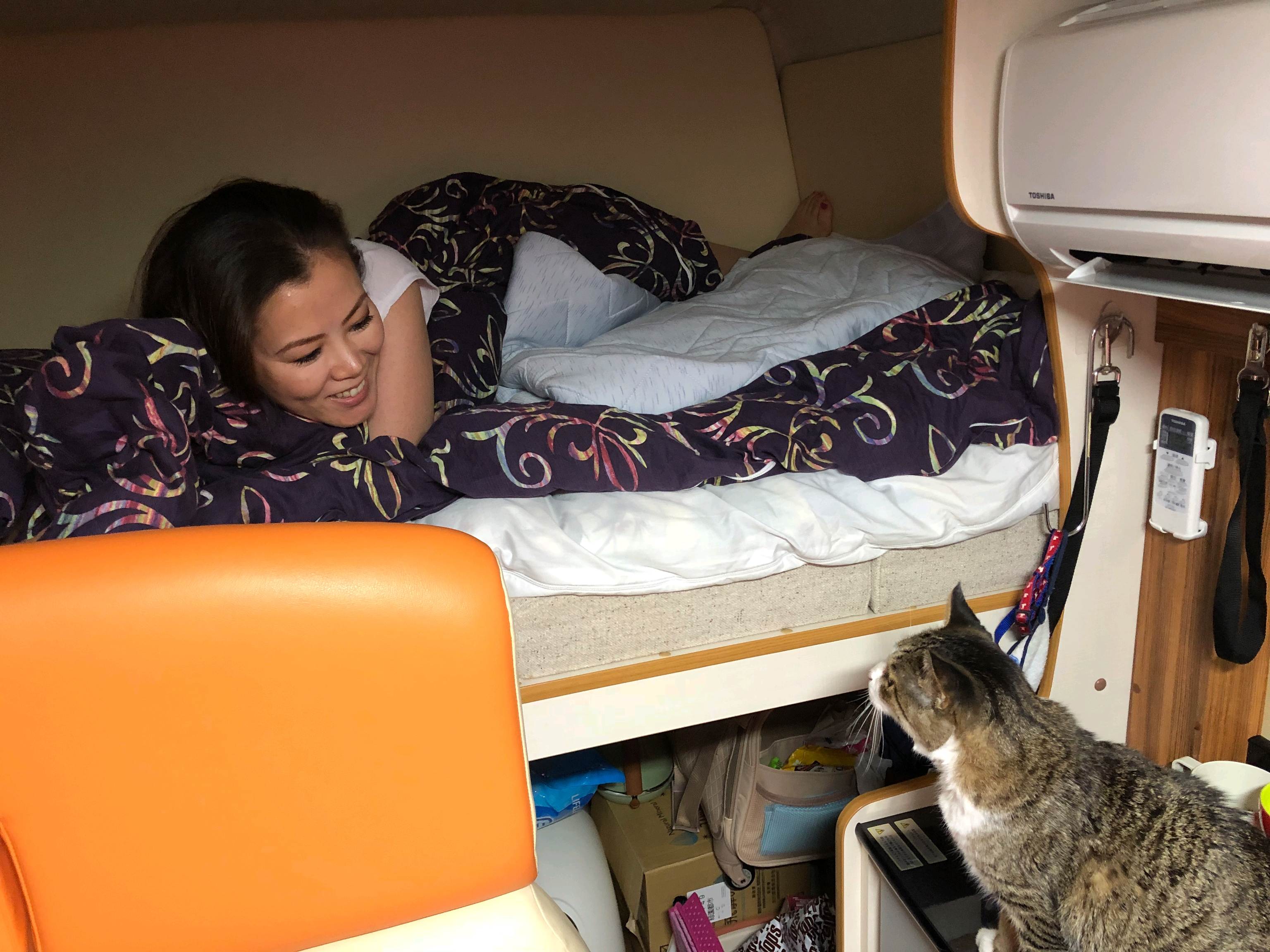 猫ちゃん旅行