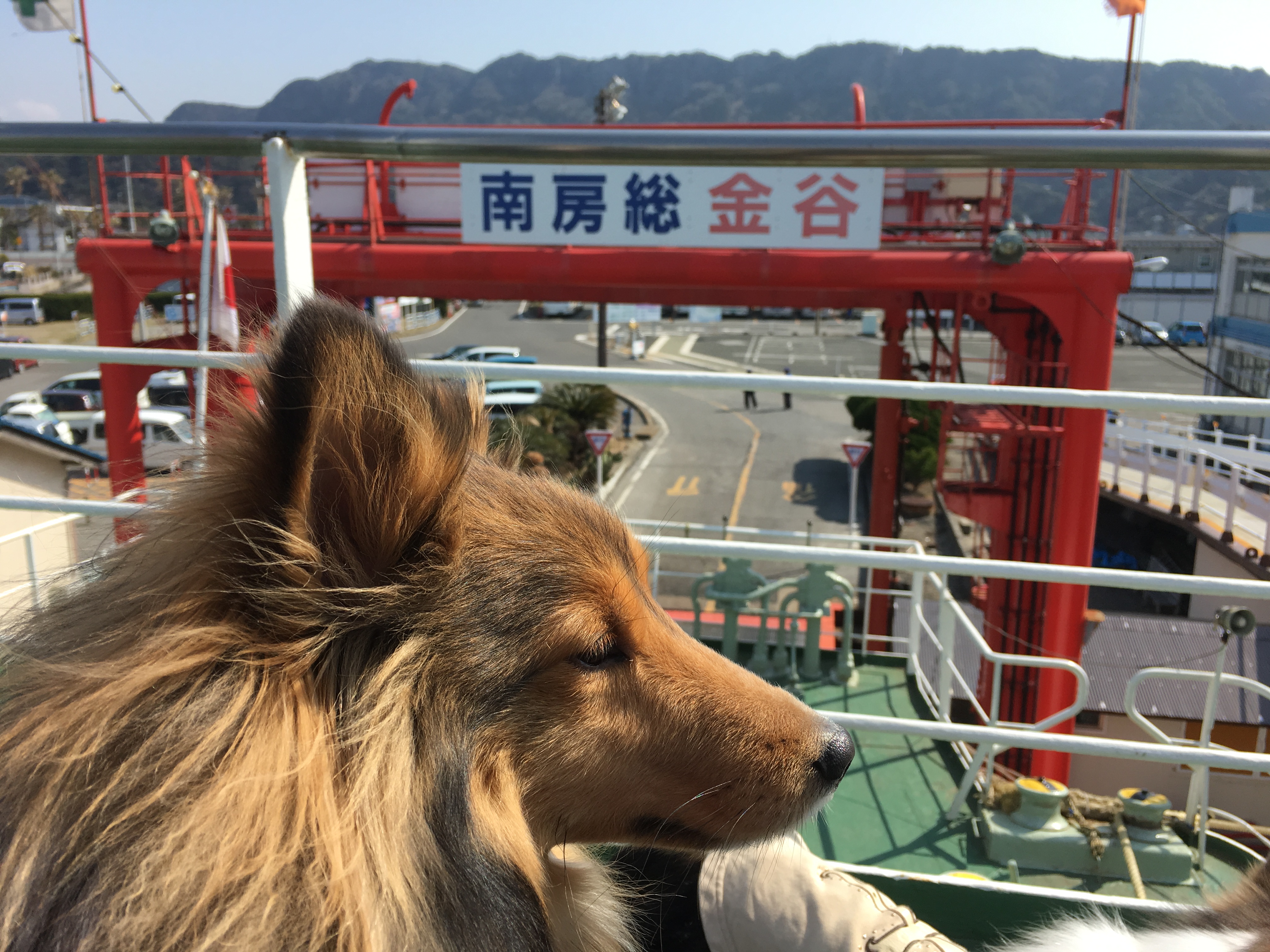 レンタルキャンピングカー 日本 愛犬とペット専用で楽しい旅に キャンピングカーレンタルのpet Rv レンタルキャンピングカー 日本 愛犬とペット専用で楽しい旅に キャンピングカーレンタルのpet Rv