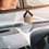 Thumbnail: FRSH Scents Deluxe Glass Bottle Air Freshener : Fresh Cotton