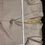 Thumbnail: Lauren Ralph Lauren SKU 7579 Mens Beige Suit Jacket Blazer Size 44L