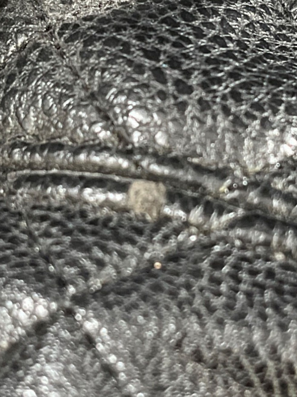 Thumbnail: Betsey Johnson Women's Black Isolated Bag/Lunch Bag SKU 5364