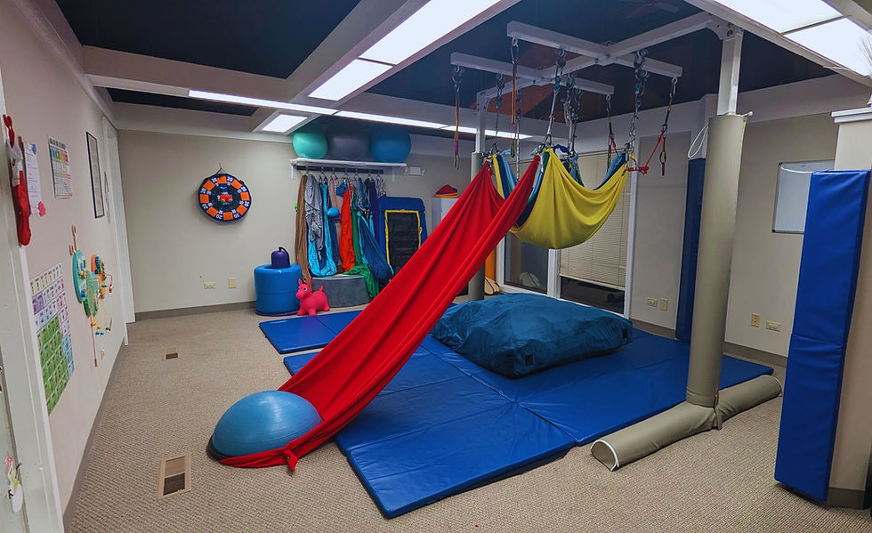 Sensory Gym